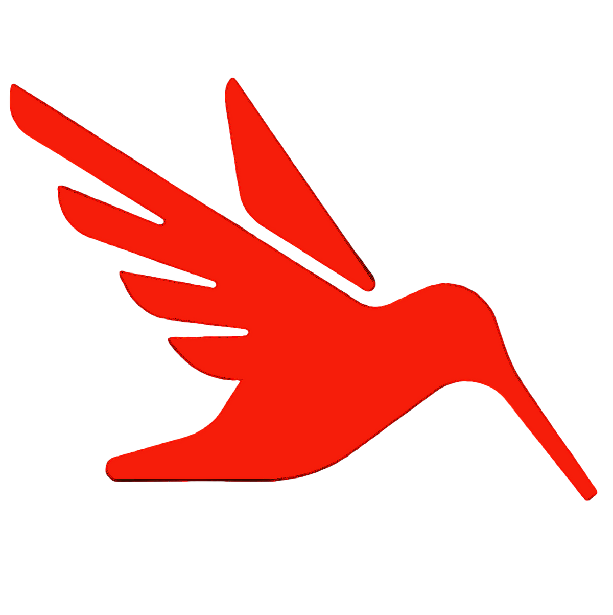 salud logo kolibrie